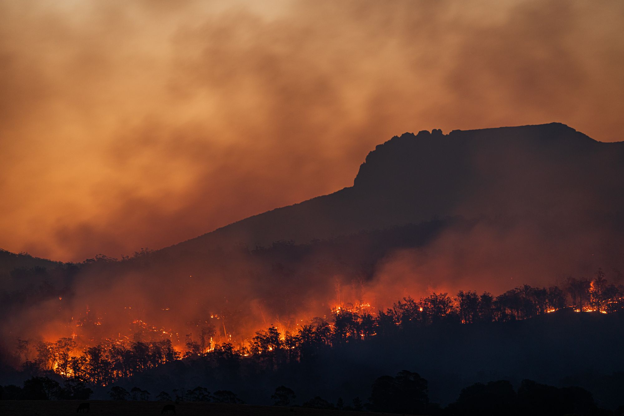 From Cancer Discoveries to Climate Change